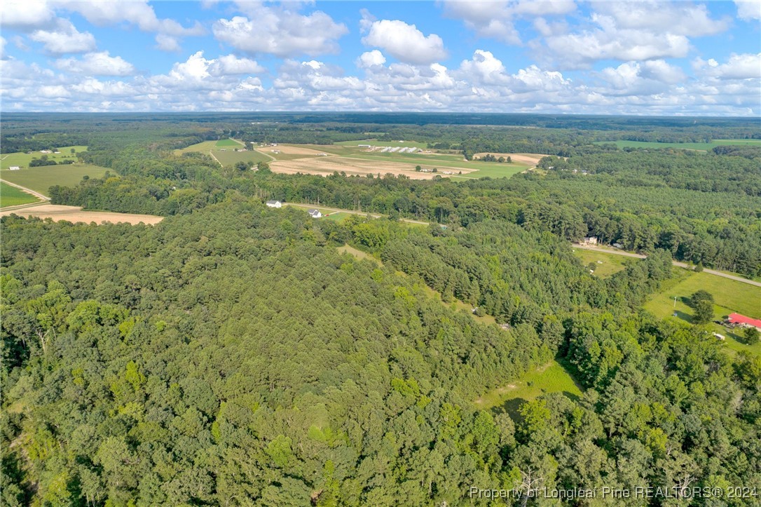 2885 Slocomb Road Linden, NC 28356 - Photo 8 of 19 Gallery Image 8
