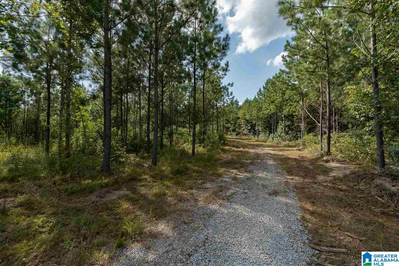 8967 Highway 55, Unit 2 & 3 Sterrett, AL 35147 - Photo 9 of 23