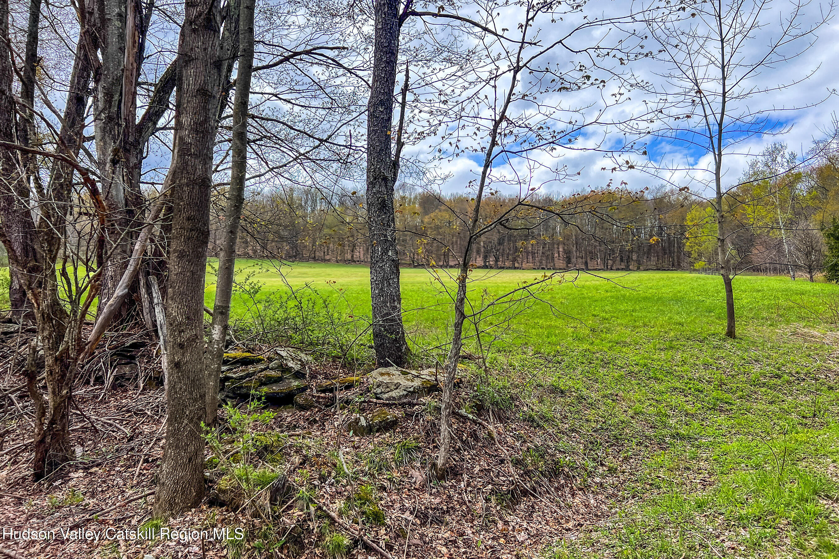 0 Brownell Road Bloomville, NY 13739 - Photo 8 of 39 23 acres Brownell Rd -- 006
