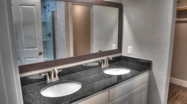a bathroom with a sink and a mirror