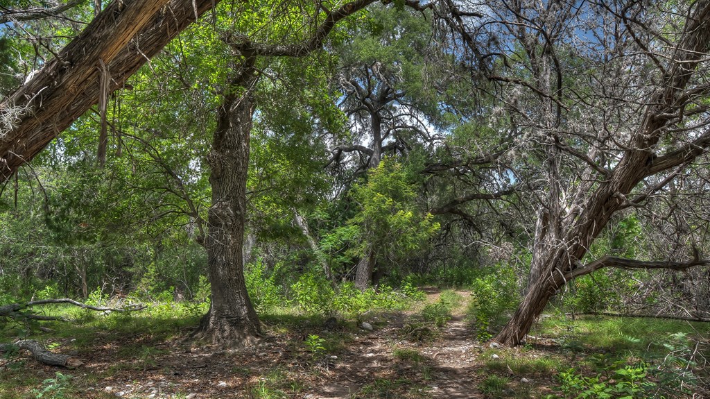 153 West P Holmes Leakey, TX 78873 - Photo 32 of 51