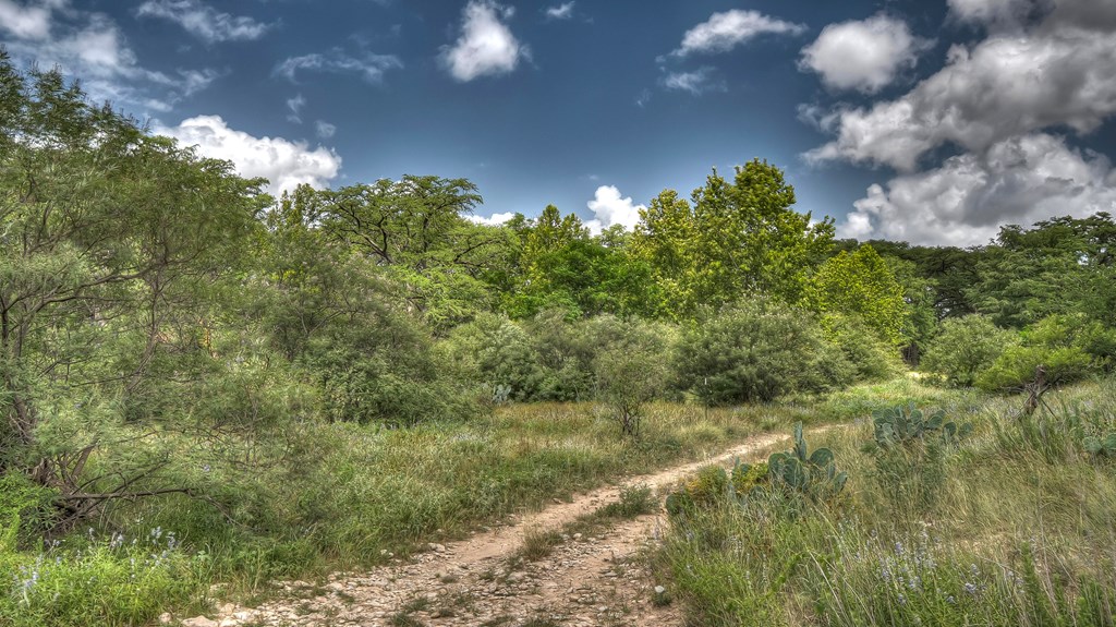 153 West P Holmes Leakey, TX 78873 - Photo 33 of 51