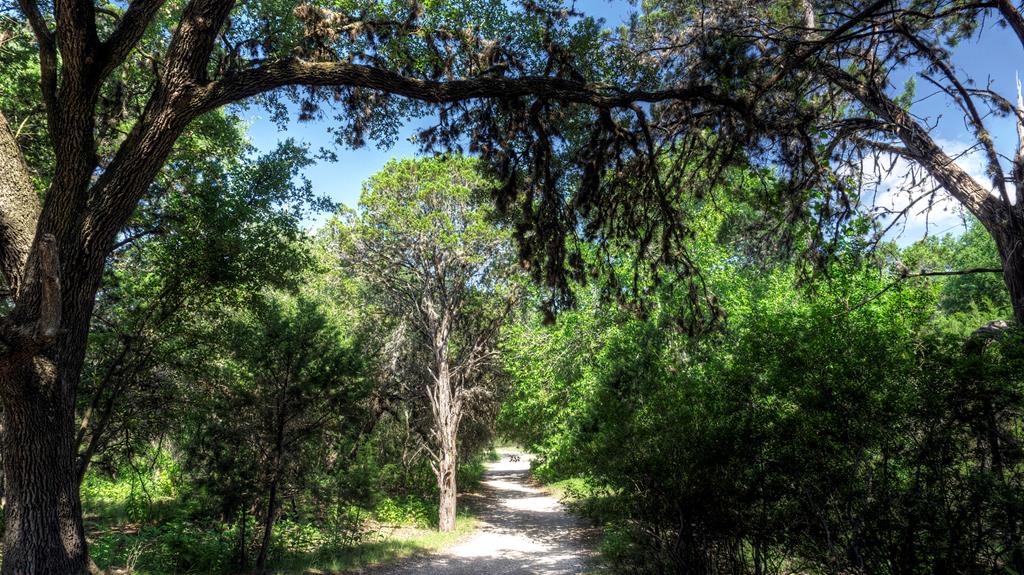 153 West P Holmes Leakey, TX 78873 - Photo 34 of 51