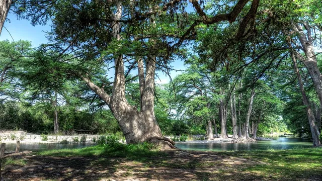 a view of a lake view