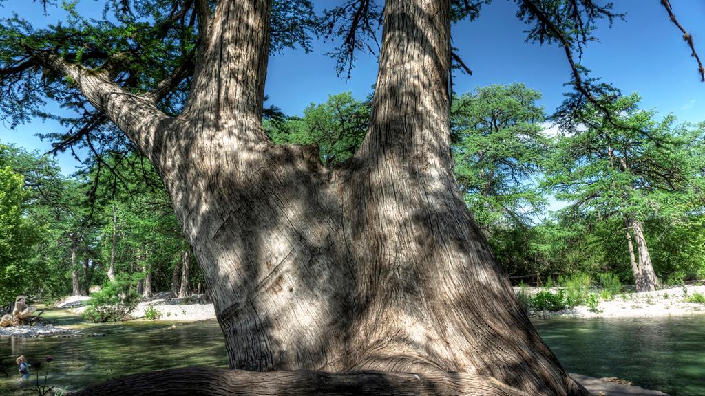 153 West P Holmes Leakey, TX 78873 - Photo 40 of 51
