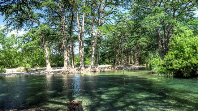 a view of a lake with a bench and a yard