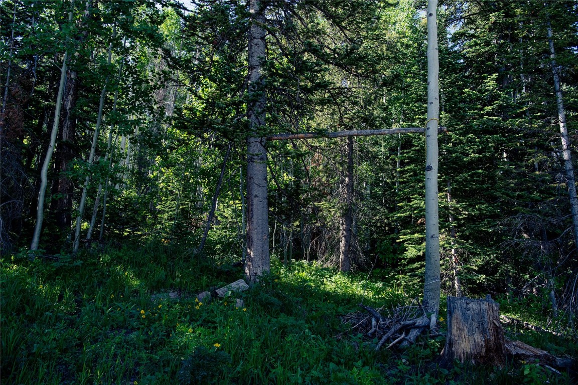 1440 Forest Service Road Craig, CO 81625 - Photo 5 of 8 hanging rack