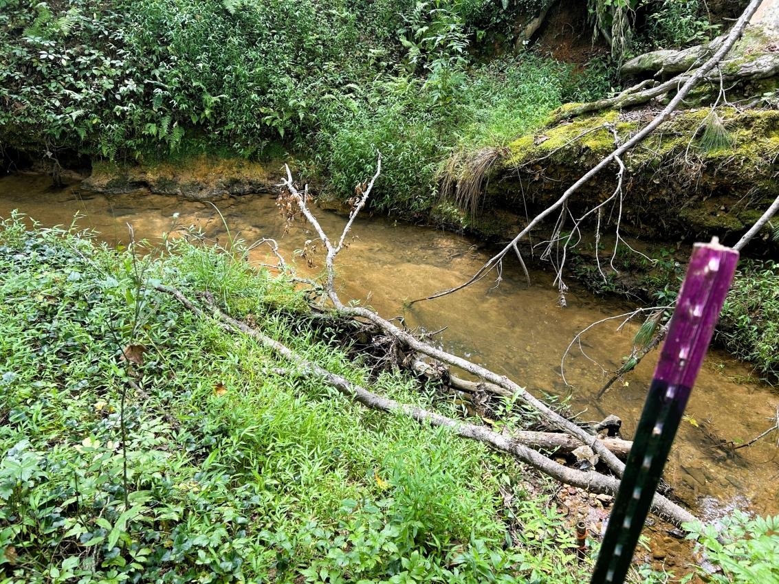 517 Signal Hill Lane Inman, SC 29349 - Photo 40 of 44