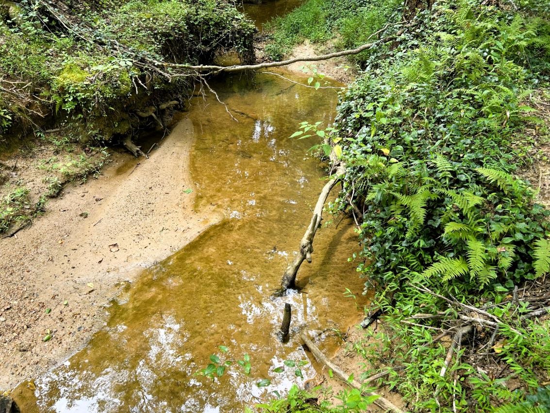 517 Signal Hill Lane Inman, SC 29349 - Photo 41 of 44