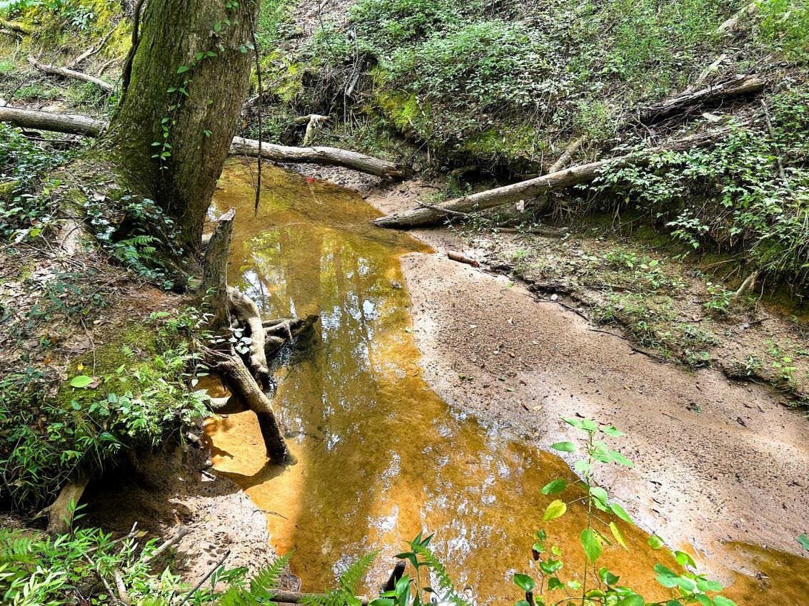 517 Signal Hill Lane Inman, SC 29349 - Photo 42 of 44