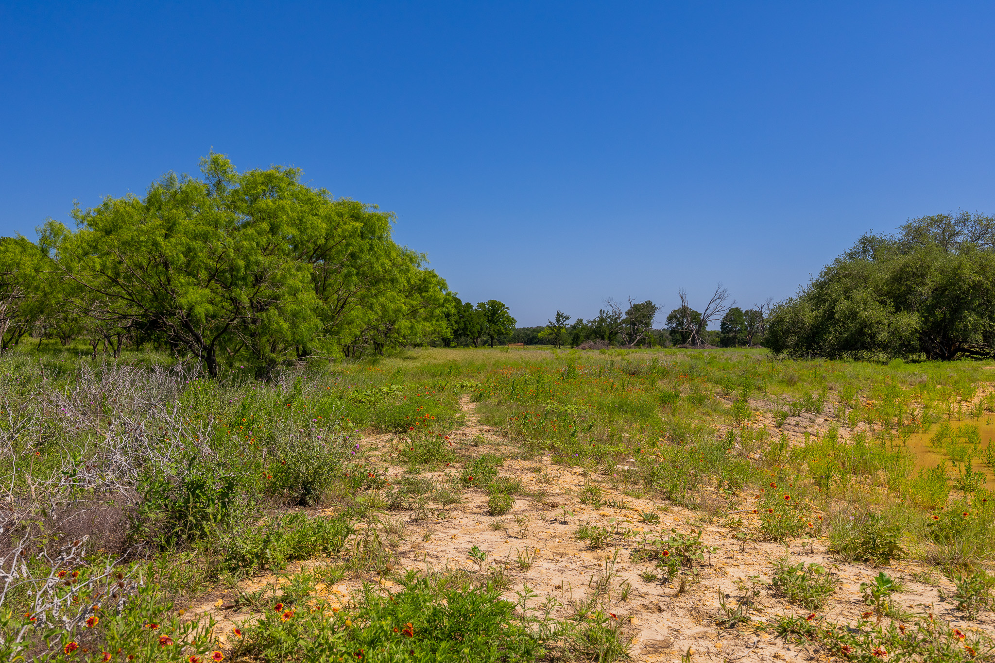 180 Rolling Pond Ranch Road Purmela, TX 76566 - Photo 18 of 21