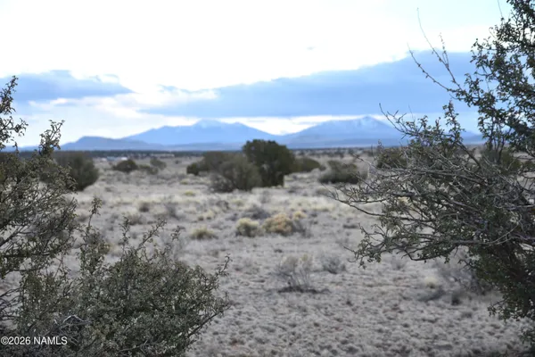 a view of a yard of mountains