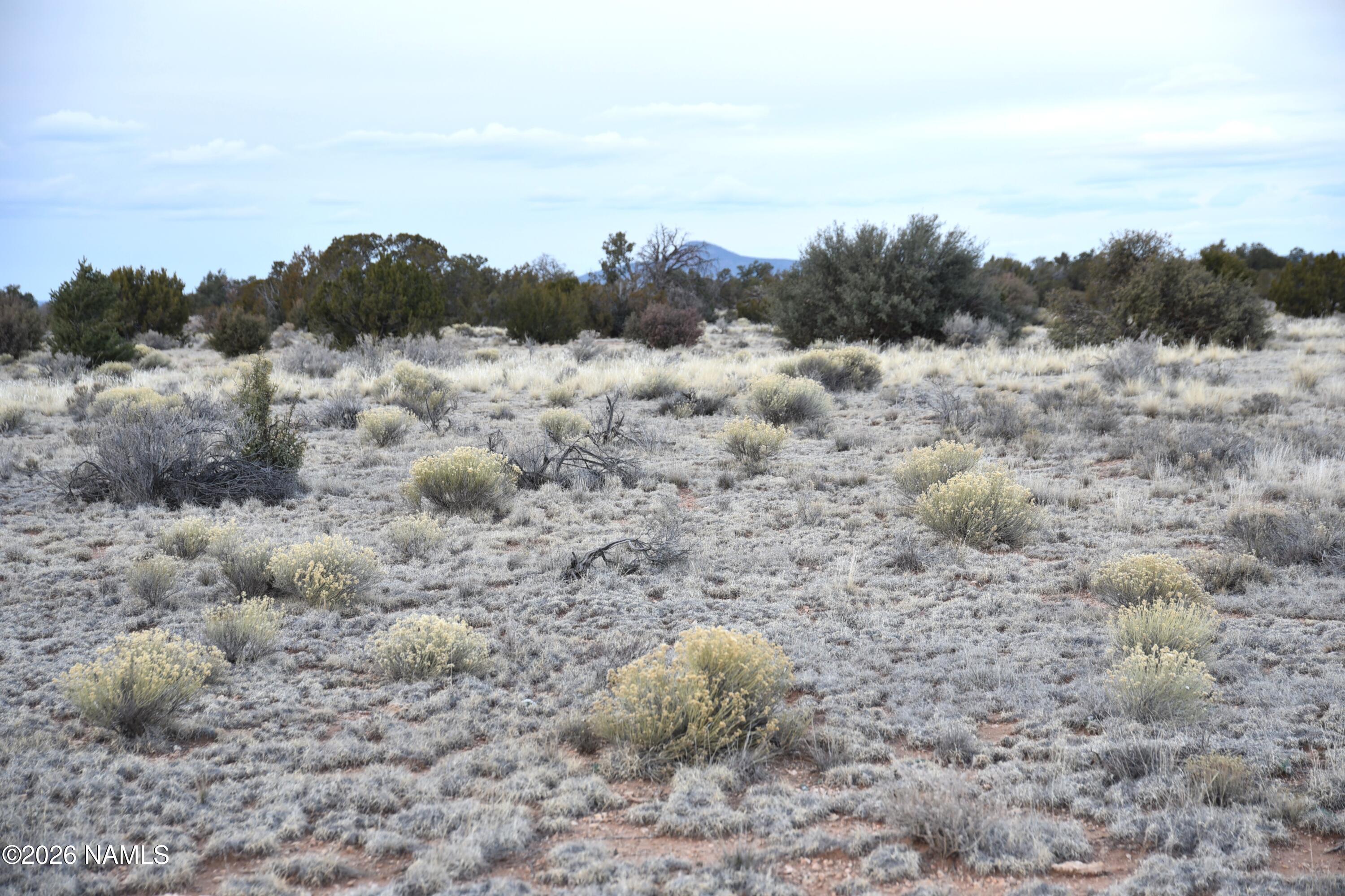 0 North Northland Road Williams, AZ 86046 - Photo 2 of 15 a view of a field