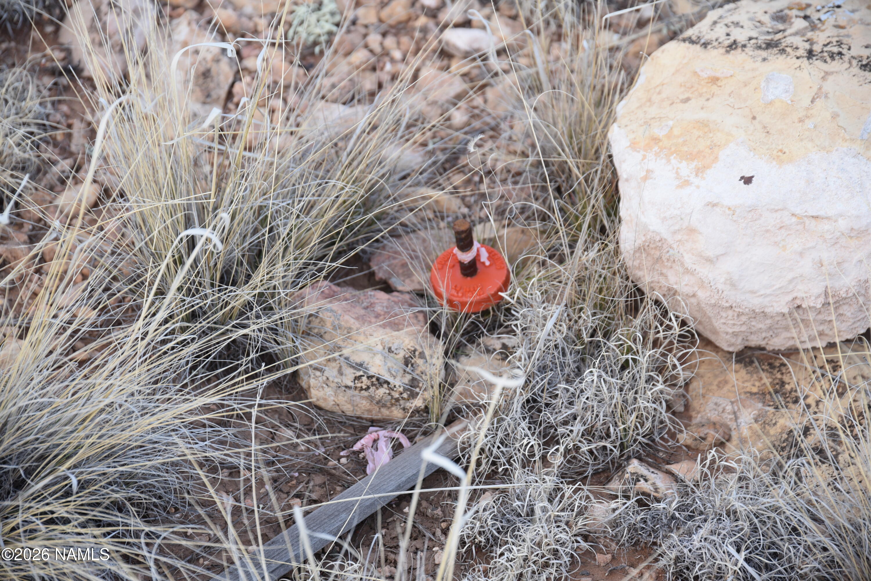 0 North Northland Road Williams, AZ 86046 - Photo 3 of 15 a view of a dry plant in a backyard