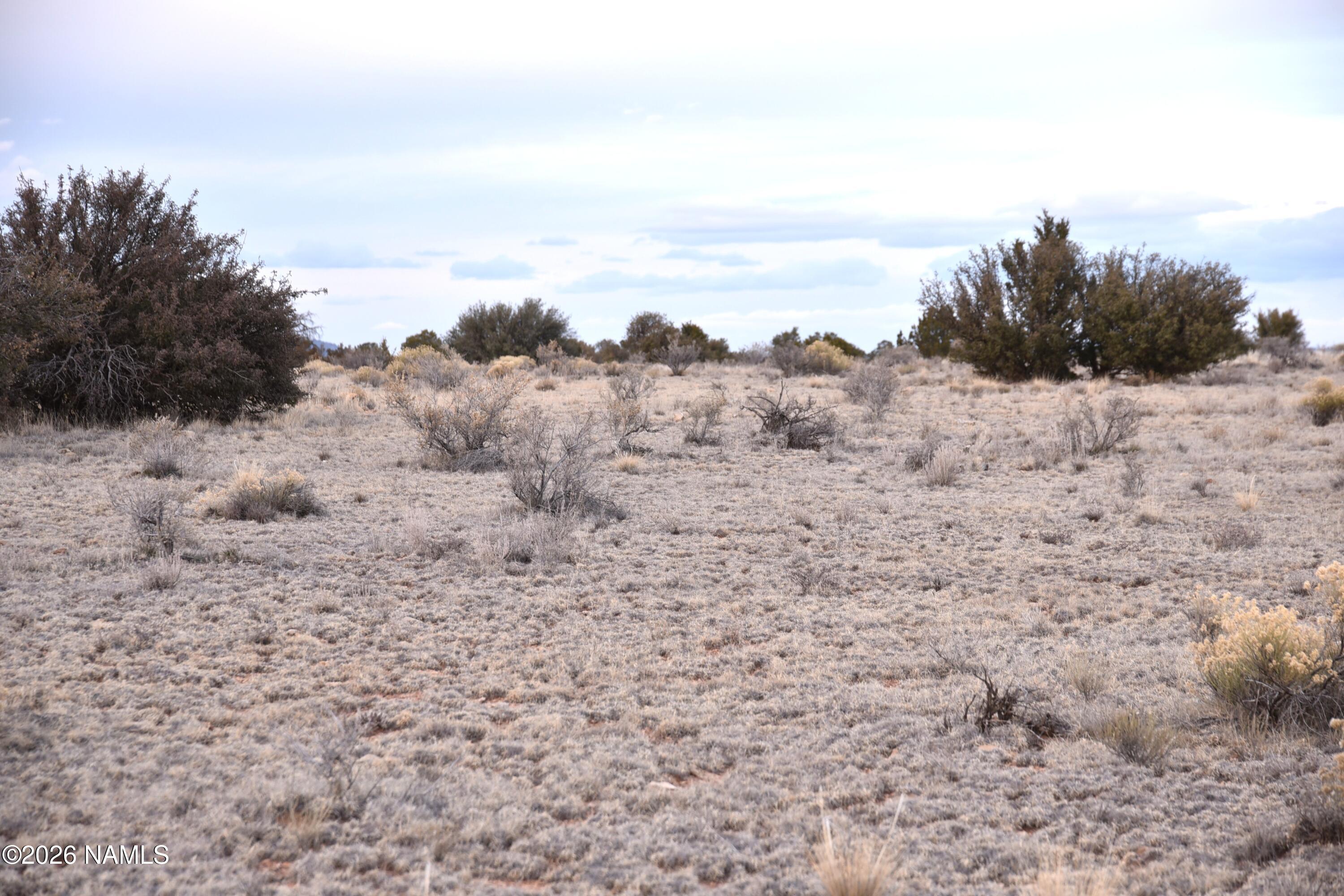 0 North Northland Road Williams, AZ 86046 - Photo 4 of 15 a view of beach and mountain