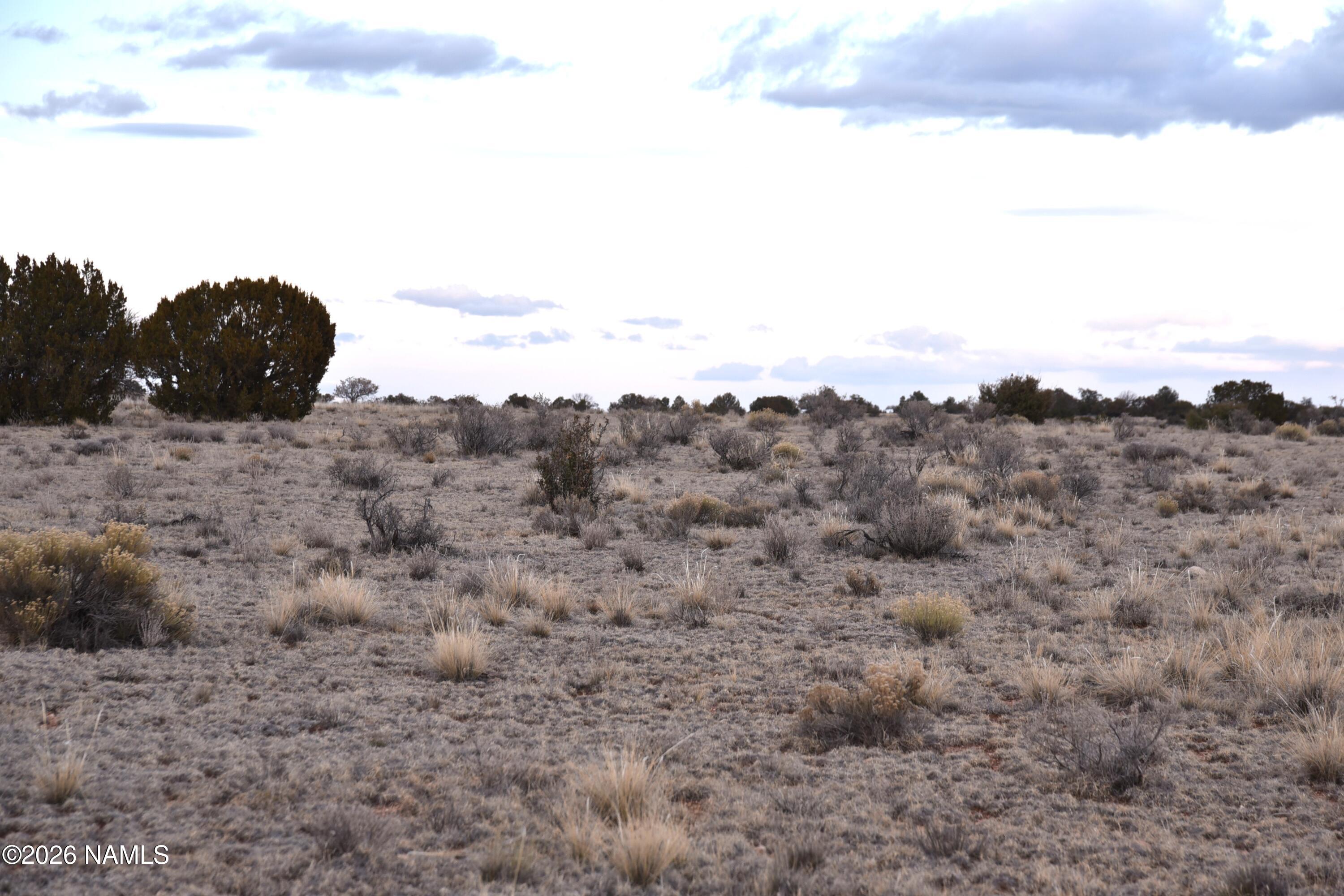 0 North Northland Road Williams, AZ 86046 - Photo 5 of 15 a view of a dry field