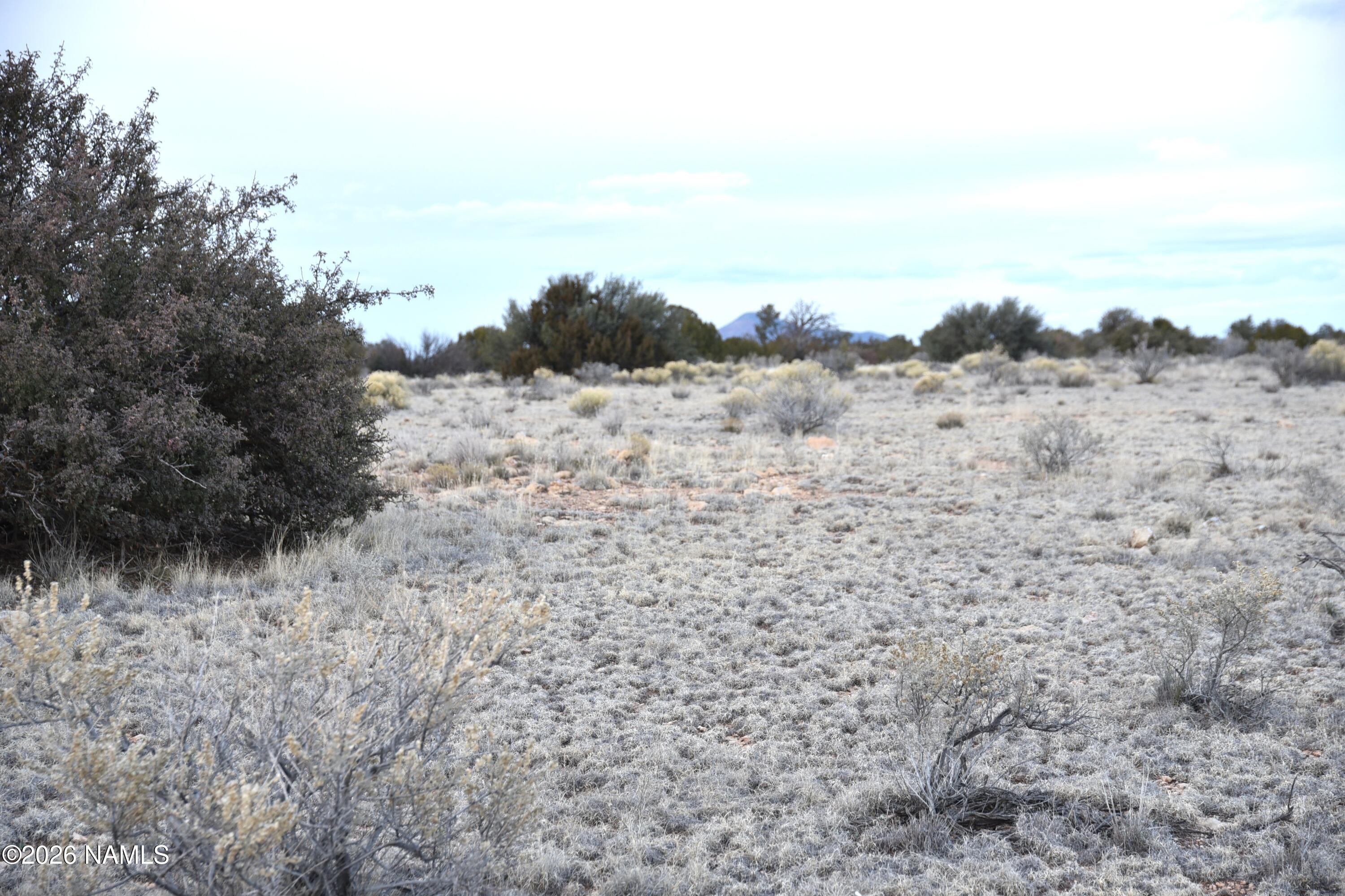 0 North Northland Road Williams, AZ 86046 - Photo 6 of 15 a view of a dry field with trees in the background