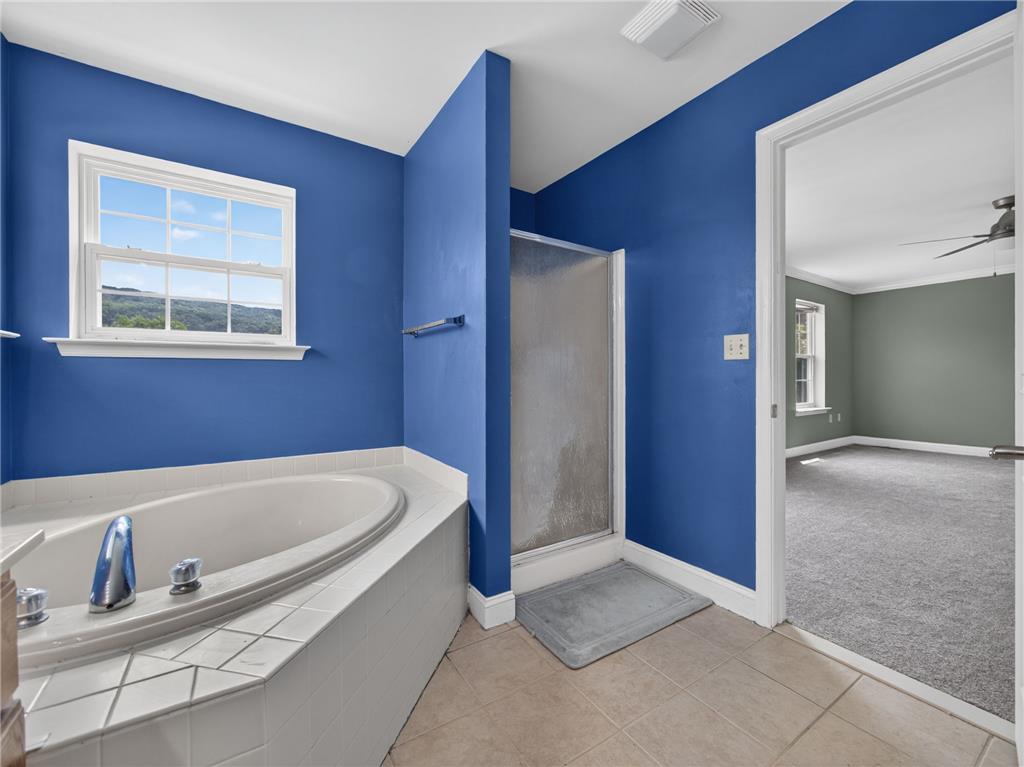 3821 Rittenhouse Road Lower Macungie Township, PA 18062 - Photo 48 of 62 Indulge in relaxation with a spacious soaking tub and an inspiring mountain vista.