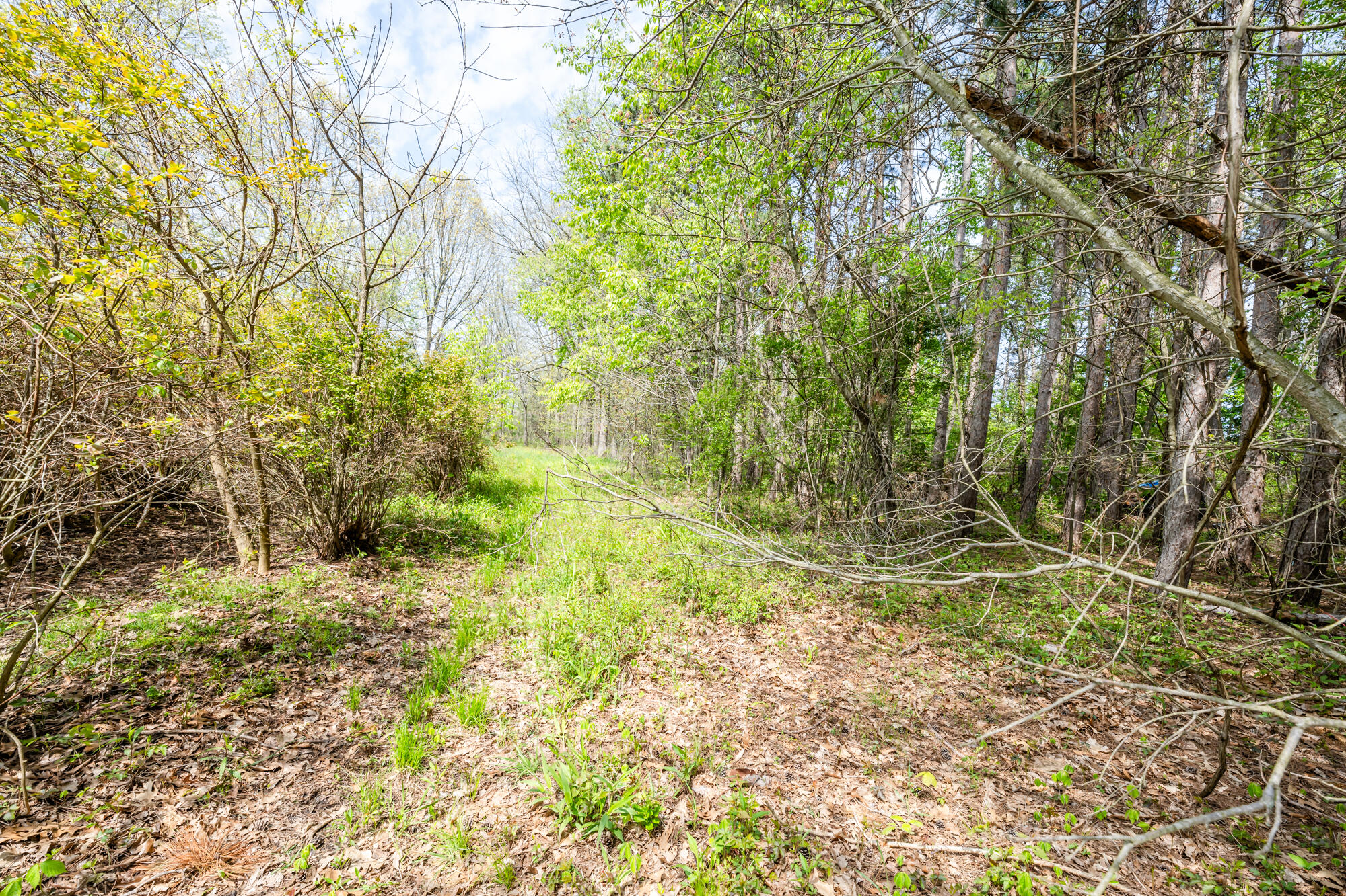 A Linke Road Bridgman, MI 49106 - Photo 15 of 24 Linke-221