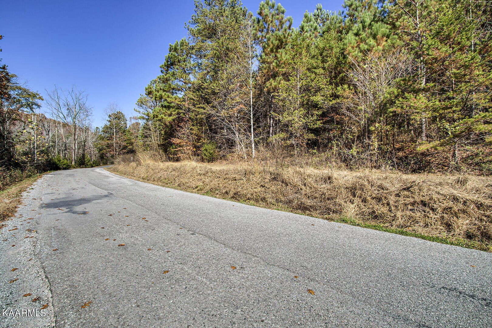 14531457 Sloans Gap Road Ocoee, TN 37361 - Photo 19 of 50