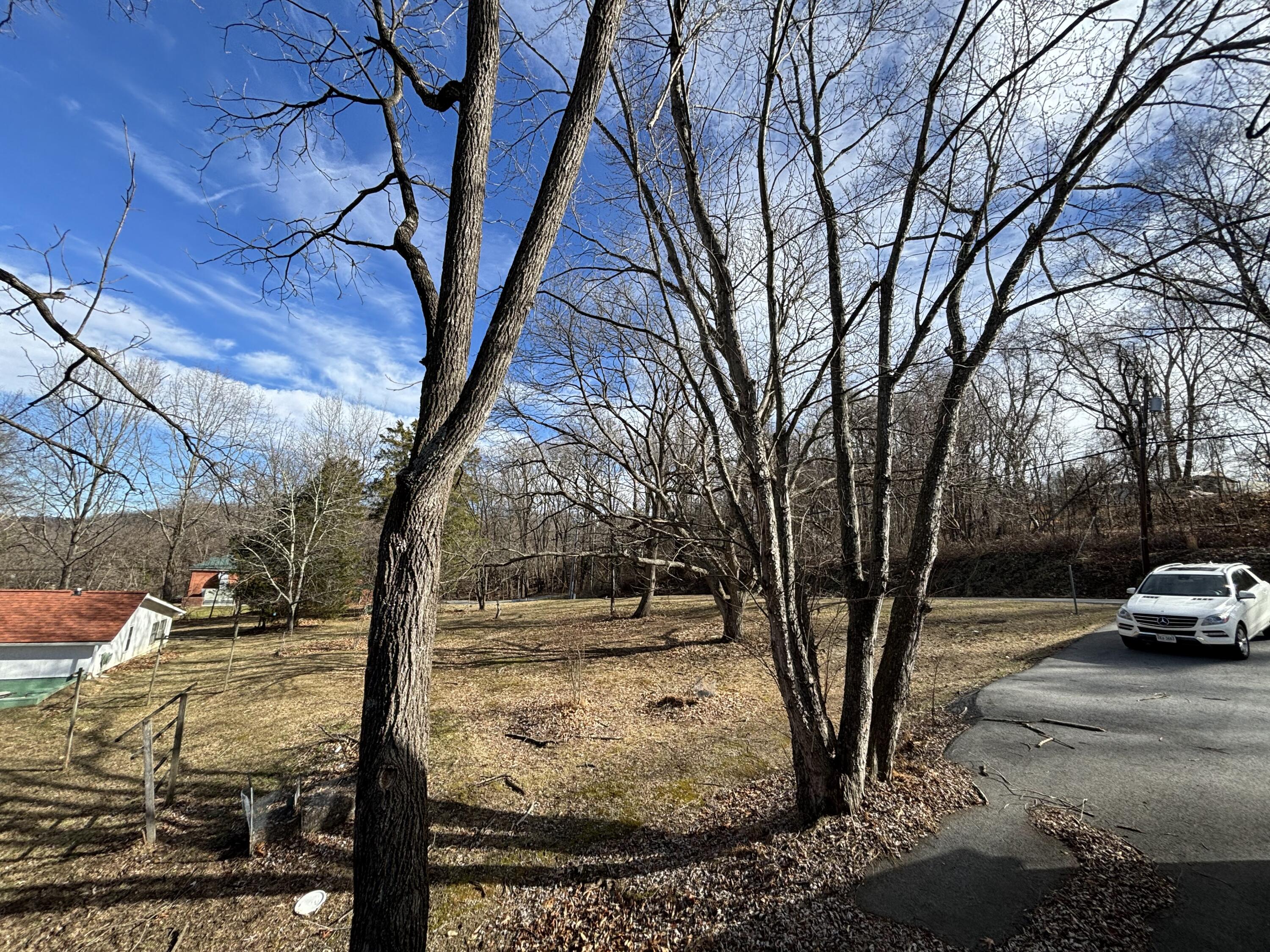 2719 Bandy Road Roanoke, VA 24014 - Photo 29 of 33 a view of road with trees