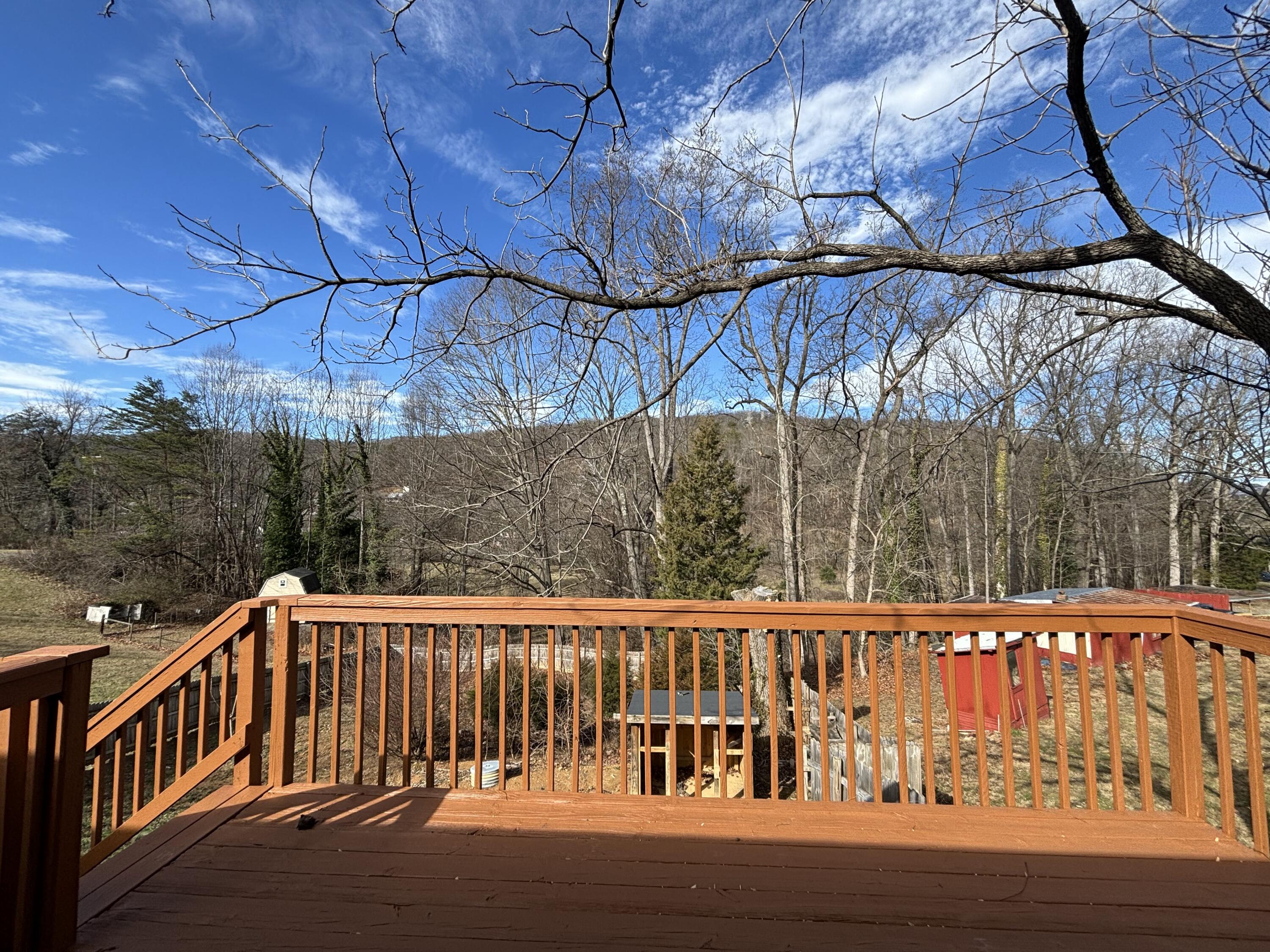 2719 Bandy Road Roanoke, VA 24014 - Photo 31 of 33 a view of street with a small yard