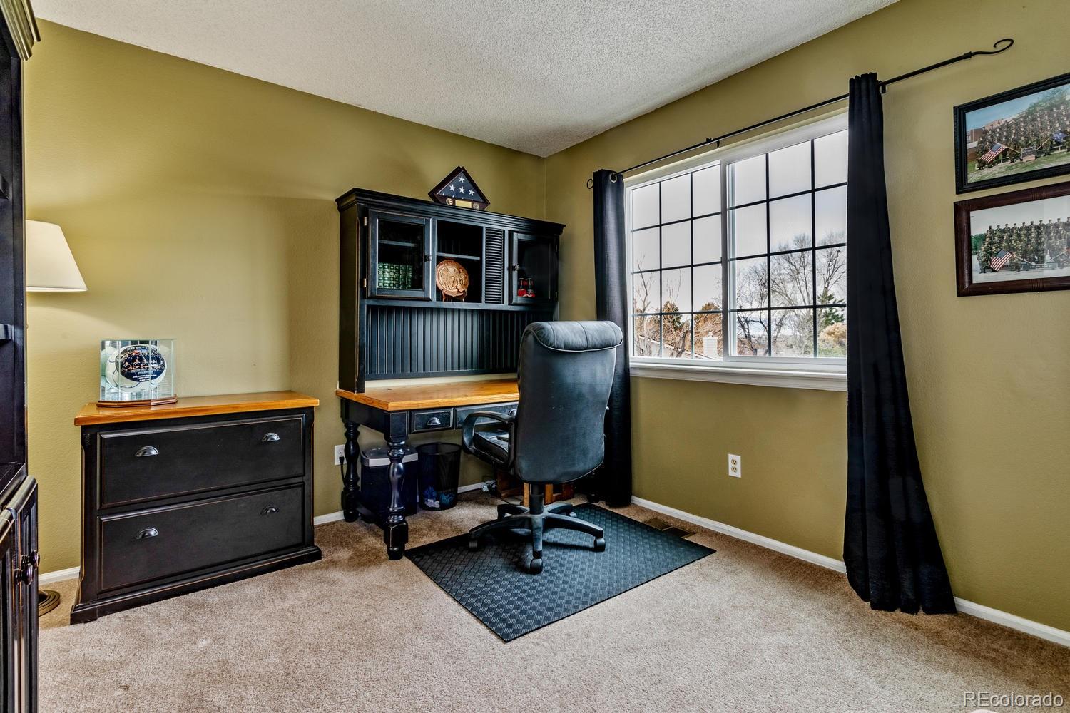 8462 Timberwood Street Highlands Ranch, CO 80126 - Photo 14 of 19 Gallery Image 14