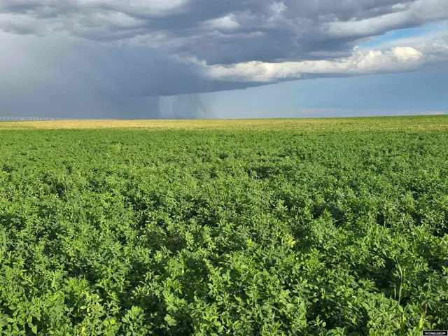 $1,200,000 | 5798 Road 146 Van Tassell Wy, Van Tassell, WY 82242