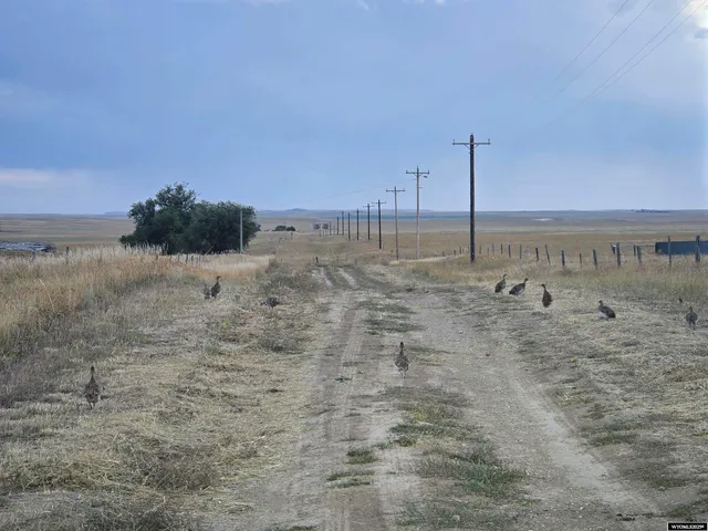 $1,200,000 | 5798 Road 146 Van Tassell Wy, Van Tassell, WY 82242