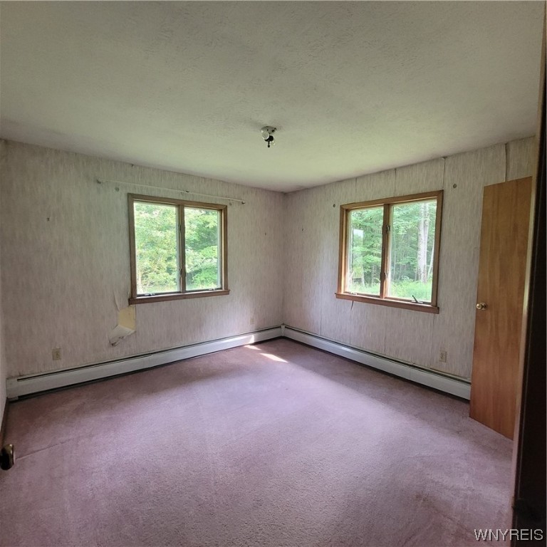 9010 Spring Cuba, NY 14727 - Photo 11 of 15