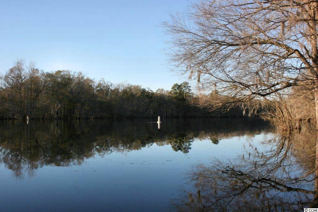 1798 Bud Graham Road Galivants Ferry, SC 29544 - Photo 21 of 25 Gallery Image 21
