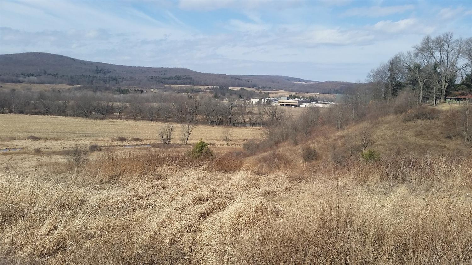 0 County Highway Oneonta, NY 13820 - Photo 1 of 1