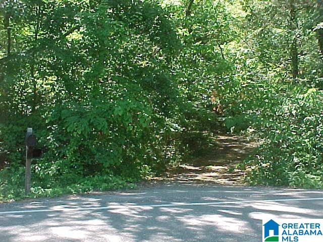 6530 County Road 17 Alabaster, AL 35114 - Photo 16 of 25