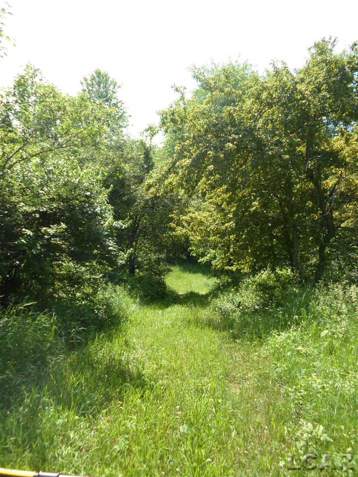12000 Stephenson Road, Unit PARCEL A Brooklyn, MI 49230 - Photo 16 of 49