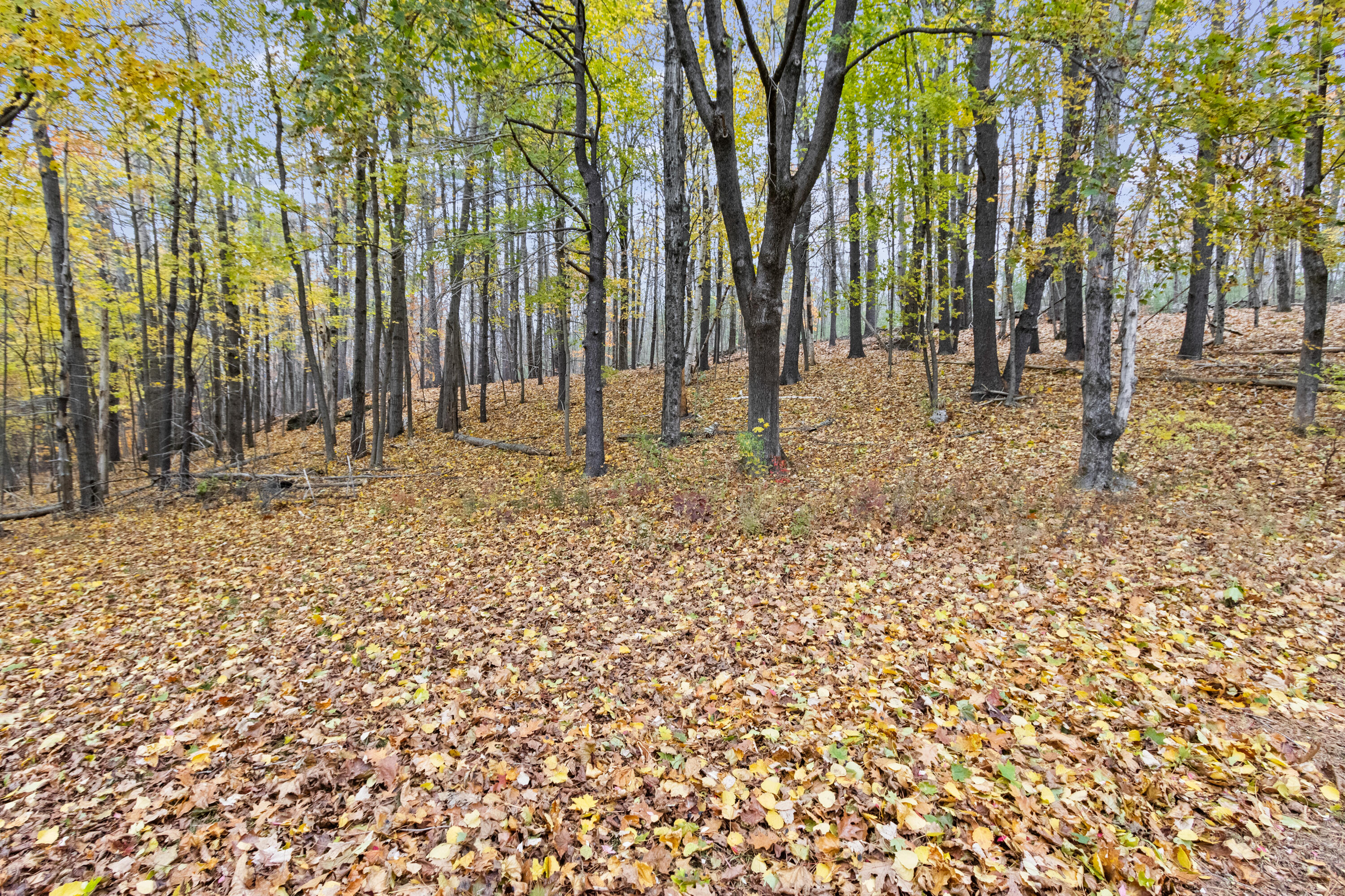 325 Lake Street Auburn, ME 04210 - Photo 60 of 64 20251105LB-71059