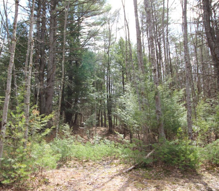 0 Rangers Way Cumberland Center, ME 04021 - Photo 5 of 5 Photo