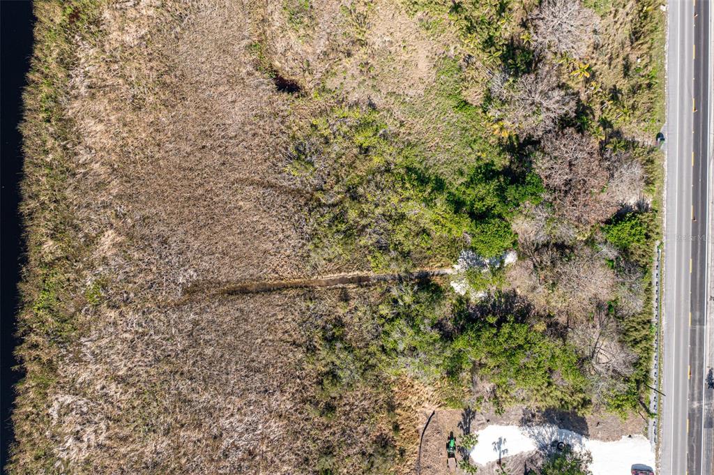 15460 Southwest Conners Highway Okeechobee, FL 34974 - Photo 28 of 28 a view of a forest with a tree