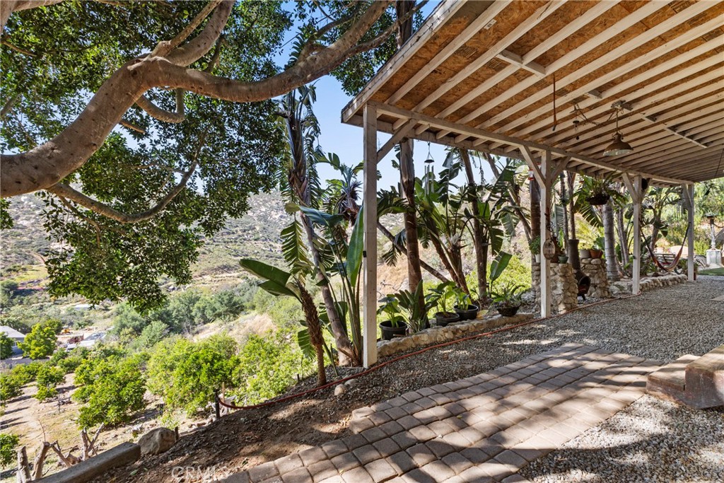 38942 Jubilee Way Fallbrook, CA 92028 - Photo 23 of 55 a backyard of a house with lots of green space
