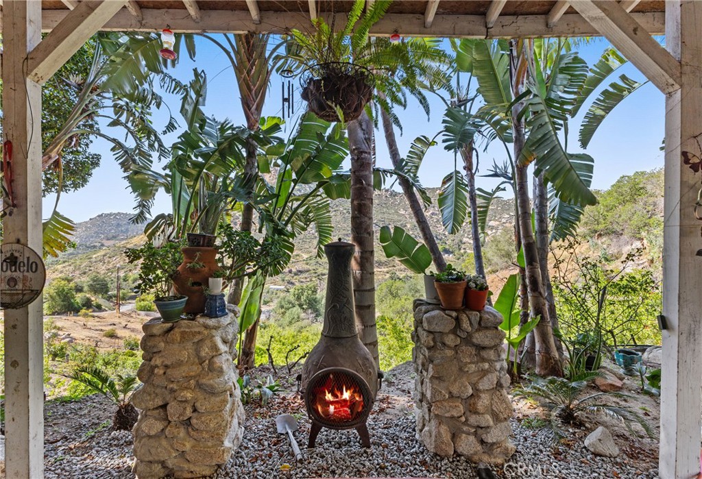 38942 Jubilee Way Fallbrook, CA 92028 - Photo 27 of 55 a picture of plants