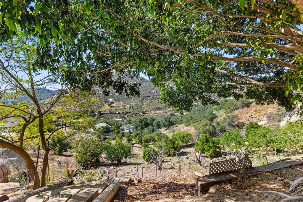 38942 Jubilee Way Fallbrook, CA 92028 - Photo 37 of 55 a view of a large yard with lots of green space