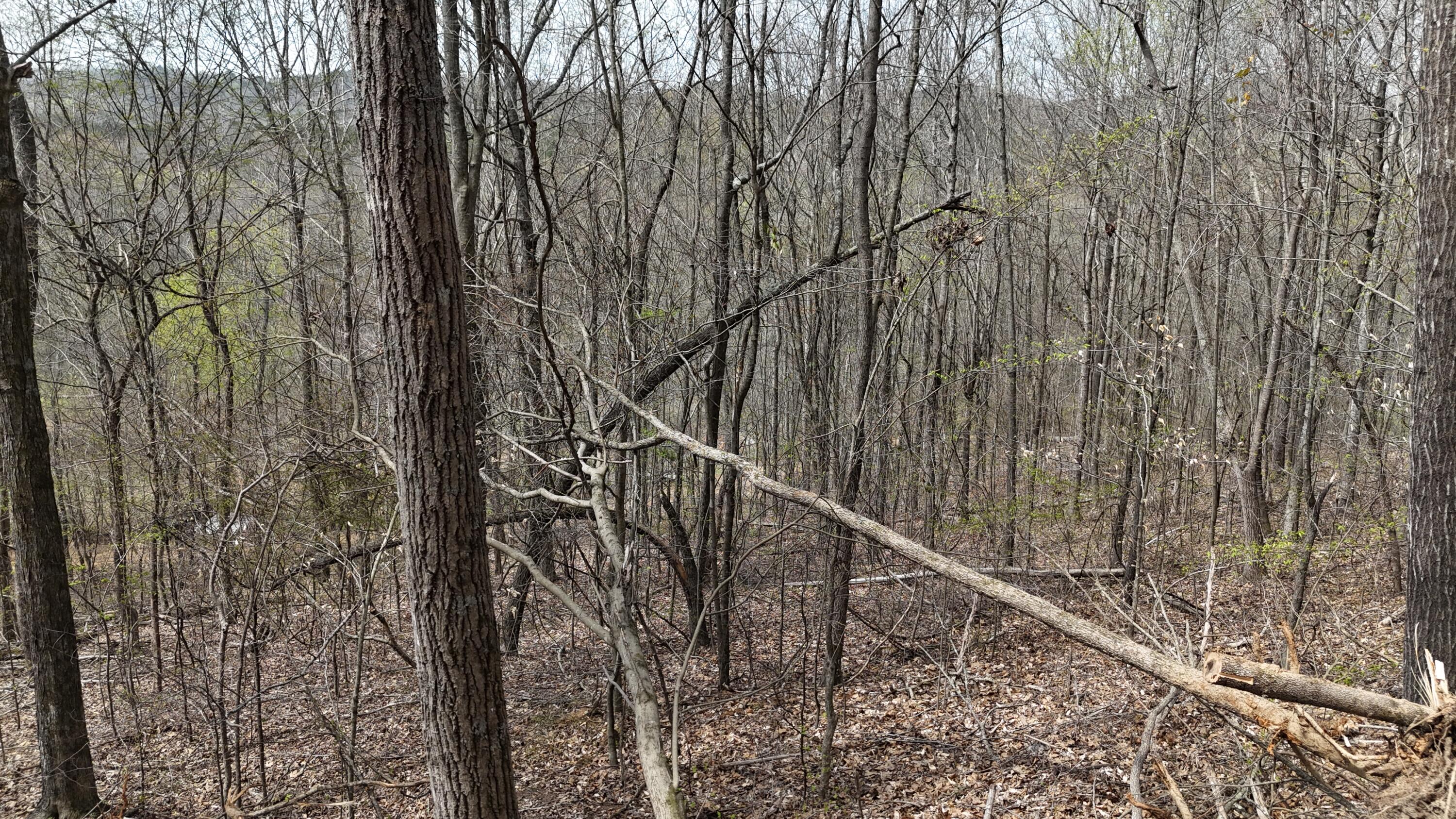 0 Geren Subdivision Lane Decatur, TN 37322 - Photo 11 of 24 dji_fly_20260325_134052_0259_17745556517