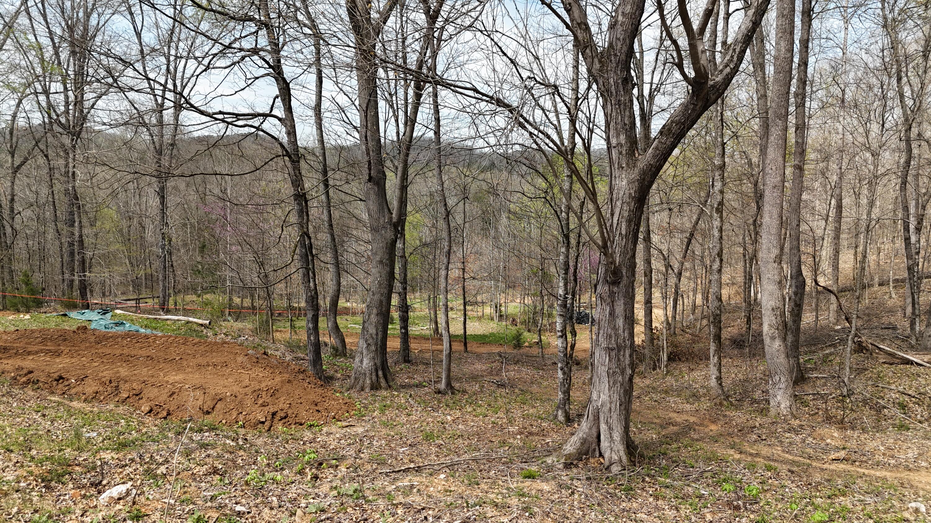 0 Geren Subdivision Lane Decatur, TN 37322 - Photo 12 of 24 dji_fly_20260325_134014_0257_17745556550