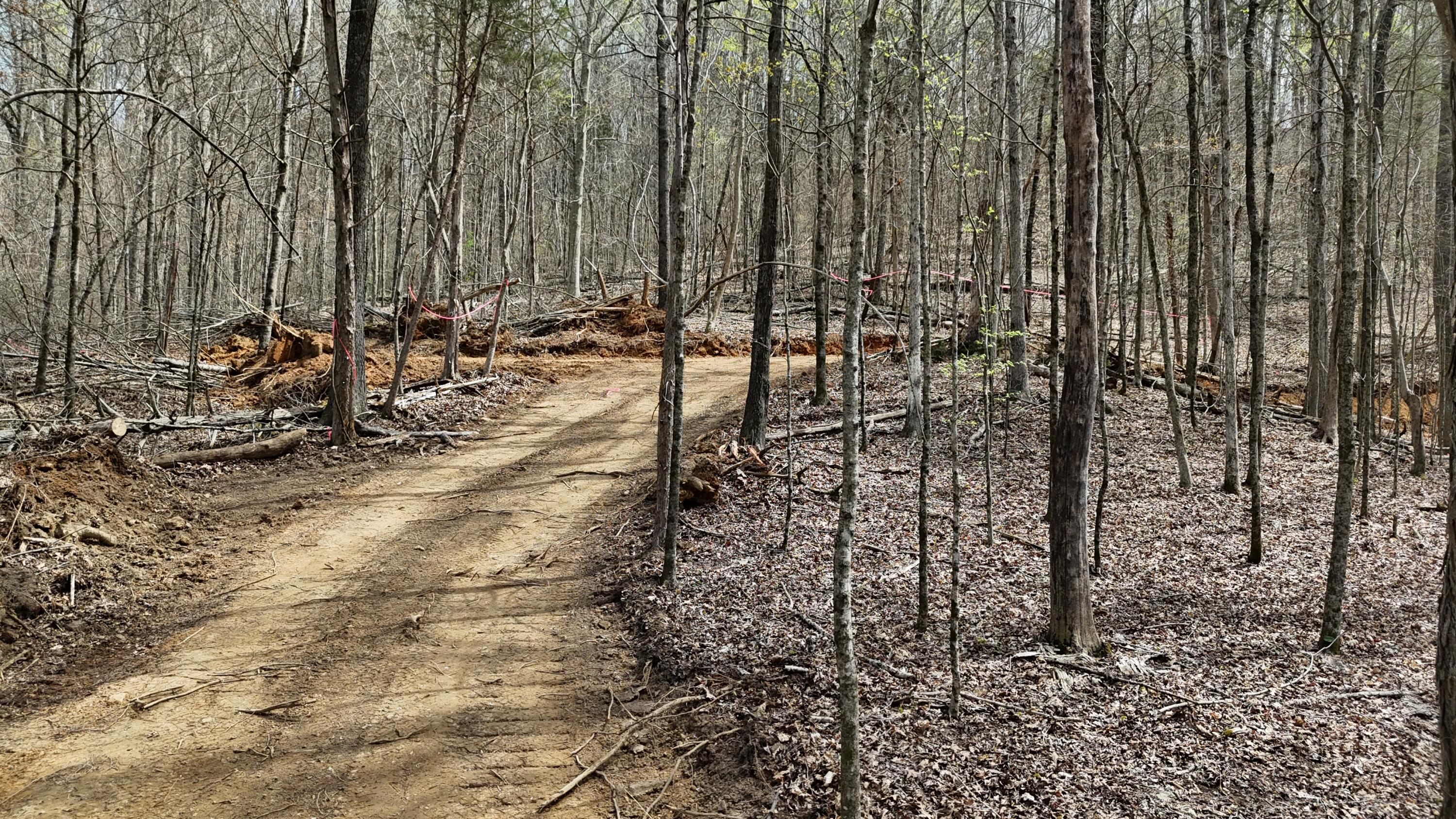 0 Geren Subdivision Lane Decatur, TN 37322 - Photo 13 of 24 dji_fly_20260325_134318_0273_17745556271