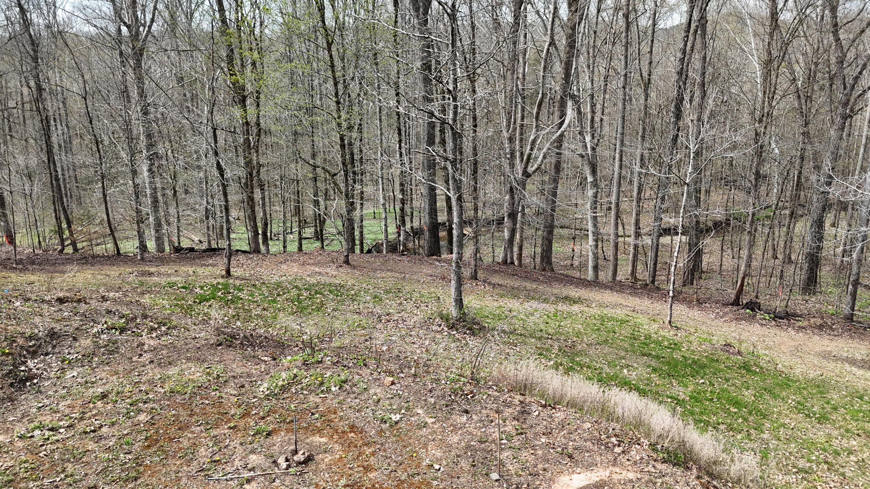 0 Geren Subdivision Lane Decatur, TN 37322 - Photo 16 of 24 dji_fly_20260325_133804_0249_17745556690