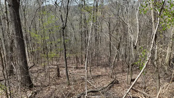 $130,000 | 0 Geren Subdivision Lane, Decatur, TN 37322