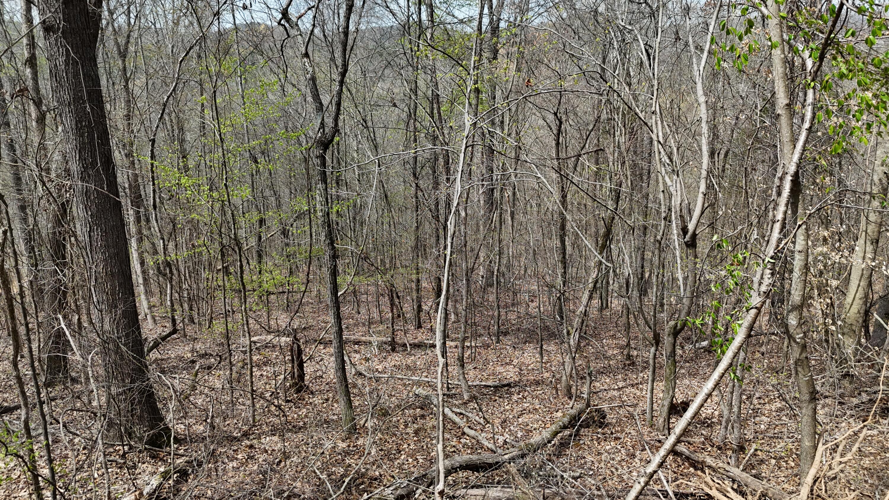 0 Geren Subdivision Lane Decatur, TN 37322 - Photo 18 of 24 dji_fly_20260325_134114_0262_17745556463