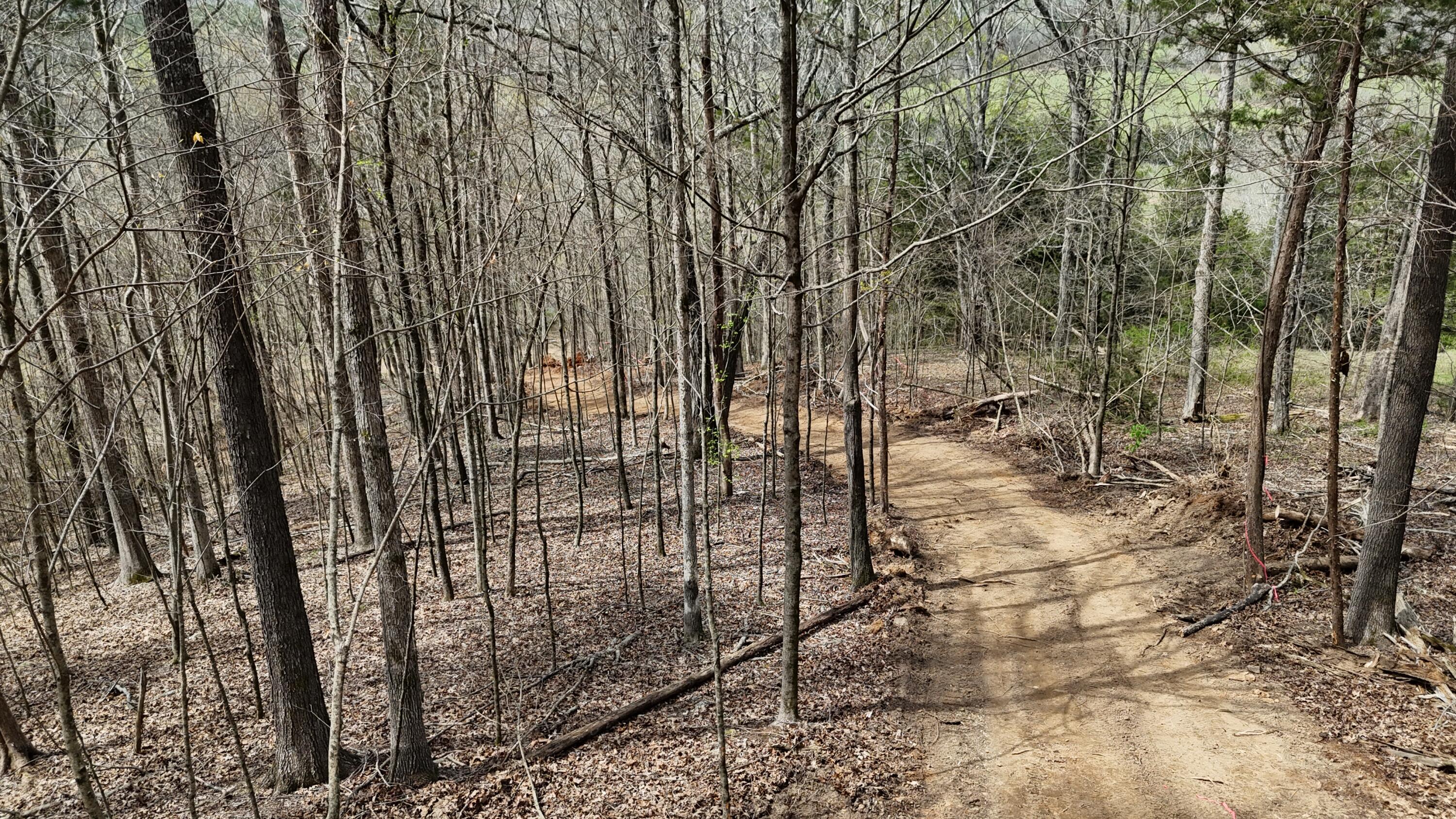 0 Geren Subdivision Lane Decatur, TN 37322 - Photo 2 of 24 dji_fly_20260325_134252_0271_17745556306