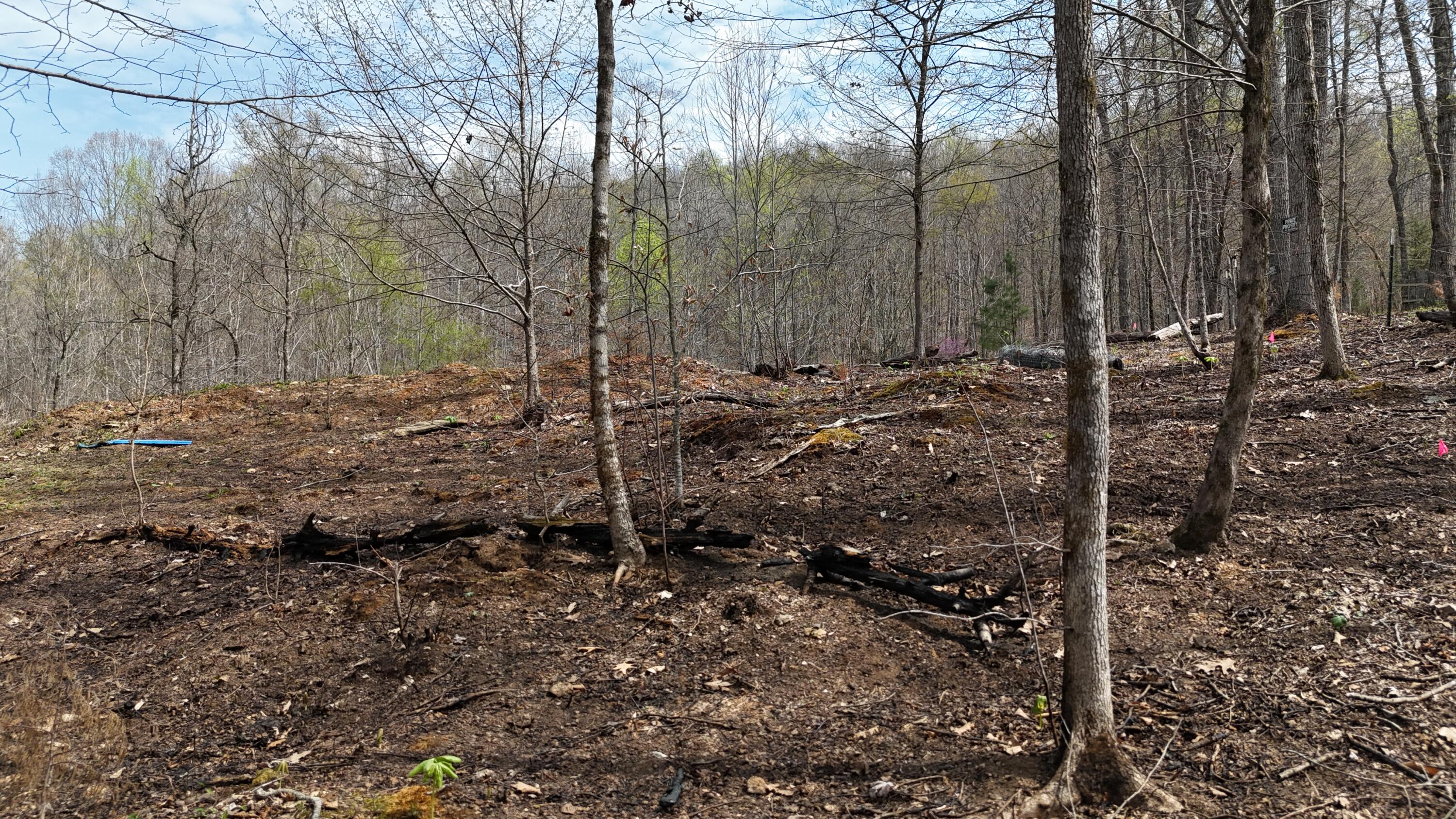 0 Geren Subdivision Lane Decatur, TN 37322 - Photo 23 of 24 dji_fly_20260325_133728_0248_17745556703