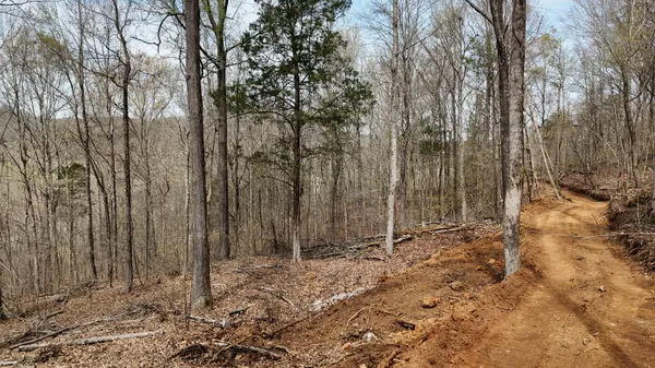 $130,000 | 0 Geren Subdivision Lane, Decatur, TN 37322