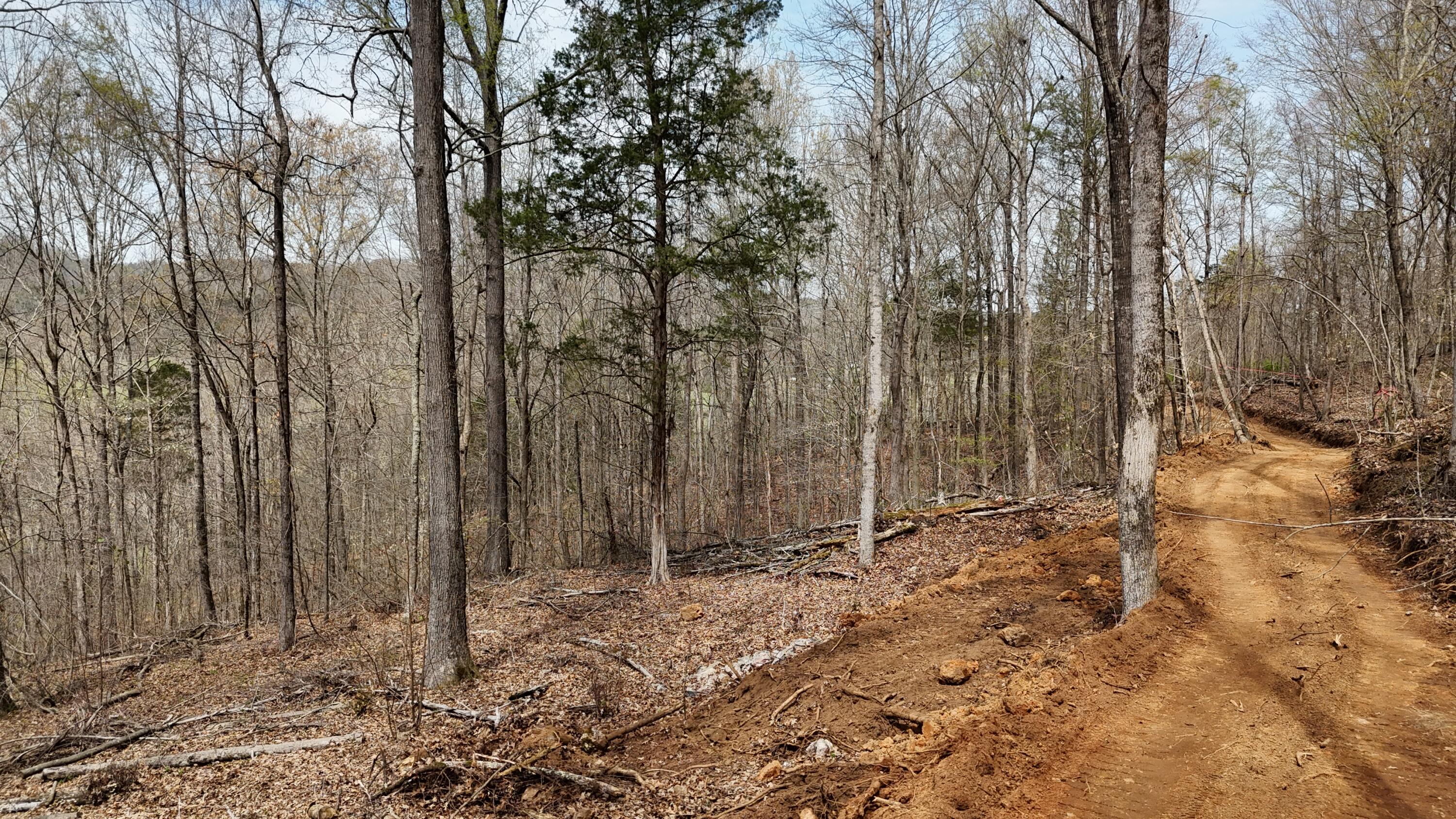 0 Geren Subdivision Lane Decatur, TN 37322 - Photo 4 of 24 dji_fly_20260325_134142_0264_17745556429